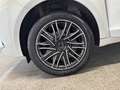 Lancia Ypsilon Ecochic 1.0 70cv Firefly Hybrid S&S Gold Blanc - thumbnail 7