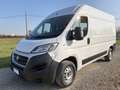 Fiat Ducato 2.3 MTJ 130 CV L2 H2 2019 - thumbnail 1