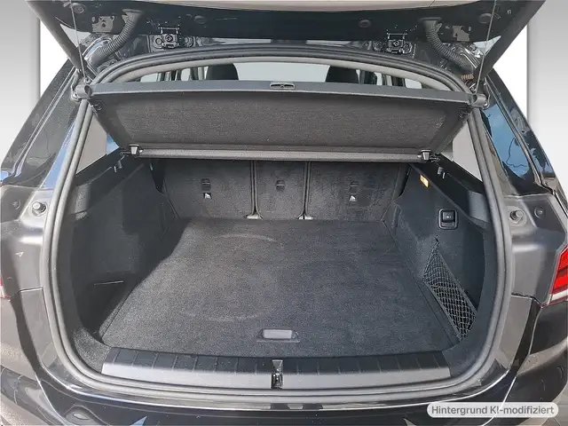 BMW X1 view 10