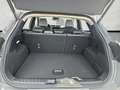 Ford Puma Gen-E Premium Matrix Kamera Winterpaket Argintiu - thumbnail 15