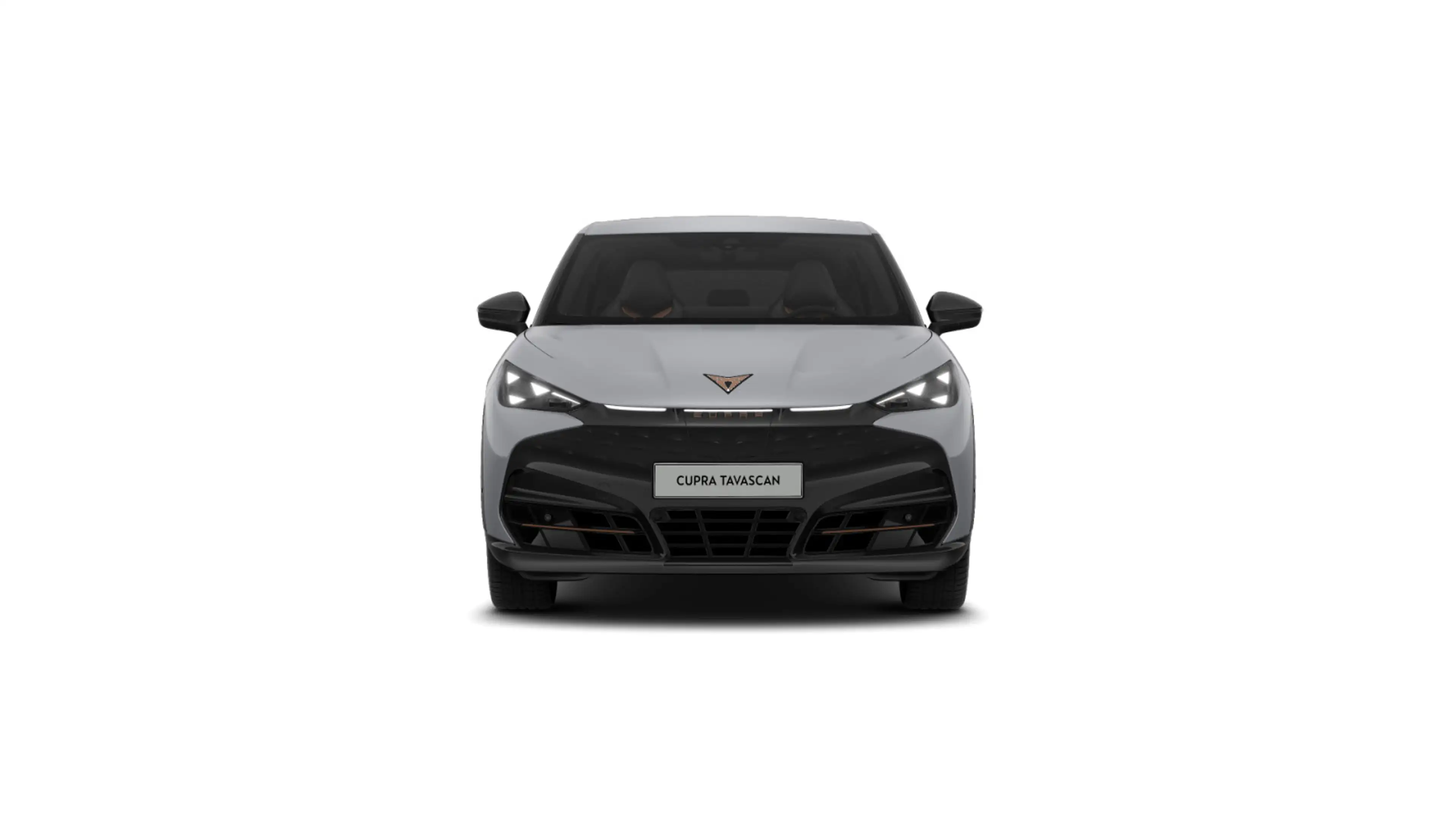 CUPRA Tavascan ENDURANCE PARKLENK SUPERSPORT W-PUMPE — photo 3