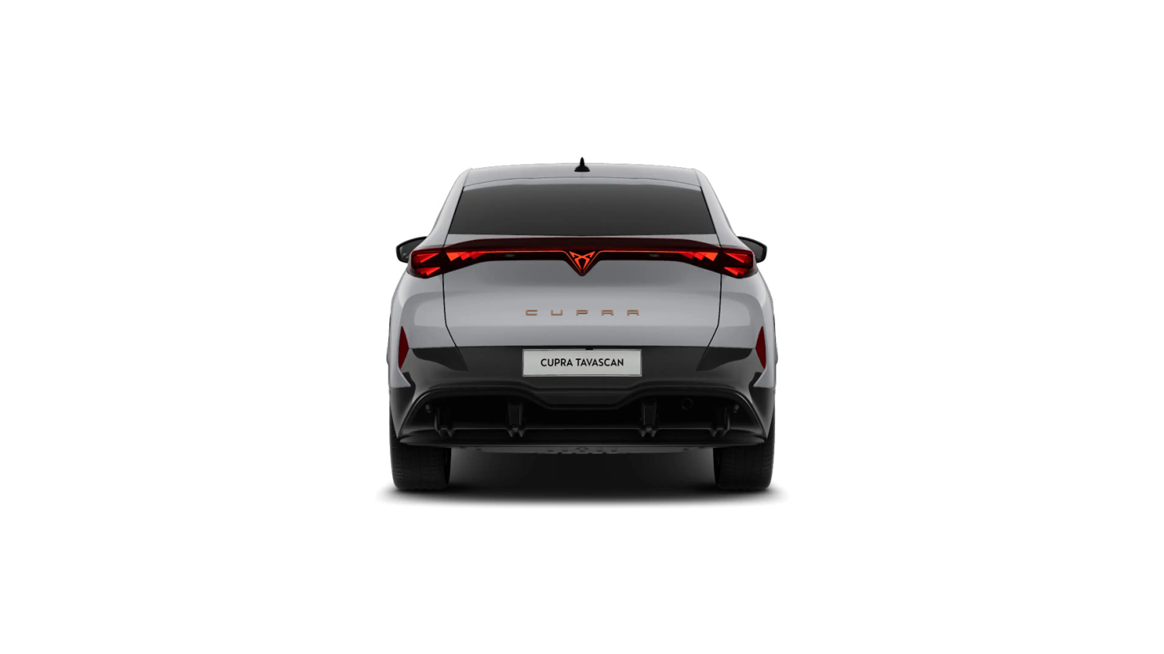 CUPRA Tavascan ENDURANCE PARKLENK SUPERSPORT W-PUMPE — photo 6
