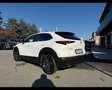 Mazda CX-30 CX-30 2.0 m-hybrid Executive 2wd 122cv 6mt Bianco - thumbnail 8