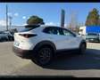 Mazda CX-30 CX-30 2.0 m-hybrid Executive 2wd 122cv 6mt Bianco - thumbnail 6