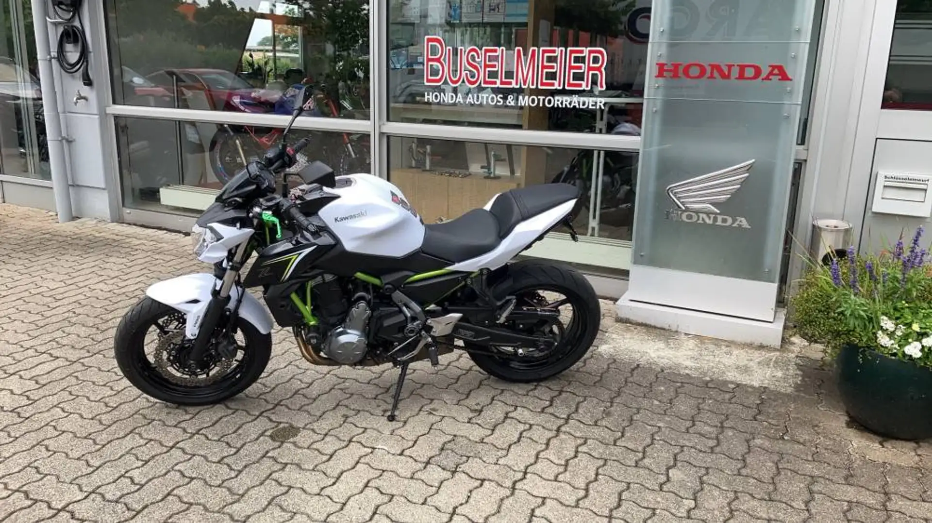 Kawasaki Z 650 - Heck Hebel Pads Vert - 2