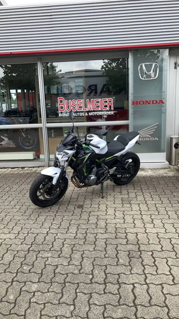 Kawasaki Z 650 - Heck Hebel Pads Vert - 1