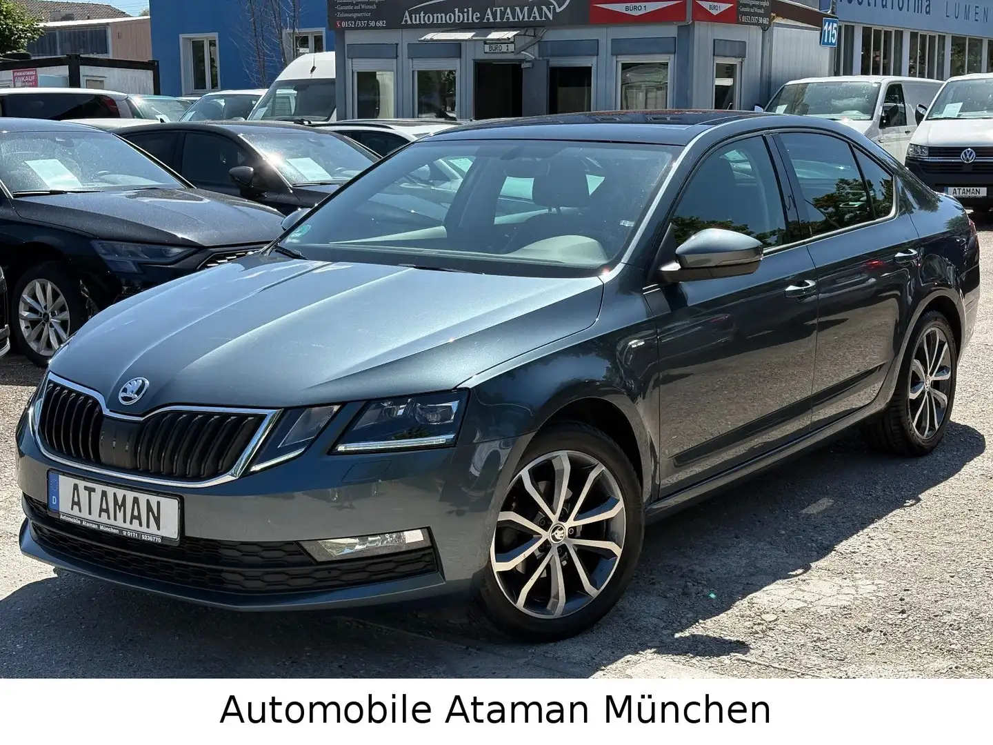 Skoda Octavia TDI Lim DSG Drive, Navi / LED / Panorama Grau - 1