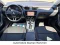 Skoda Octavia TDI Lim DSG Drive, Navi / LED / Panorama Grau - thumbnail 10