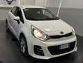 Kia Rio Rio III 2011 5p 1.1 crdi Cool E6 Weiß - thumbnail 2