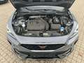 CUPRA Formentor 1.5 TSI OPF Full Link Pano Rückfahrkam Gris - thumbnail 22