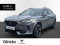 CUPRA Formentor 1.5 TSI OPF Full Link Pano Rückfahrkam Gris - thumbnail 1