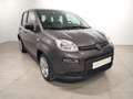 Fiat Panda Hybrid 1.0 51kw (70CV) Gris - thumbnail 3