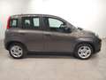 Fiat Panda Hybrid 1.0 51kw (70CV) Gris - thumbnail 4