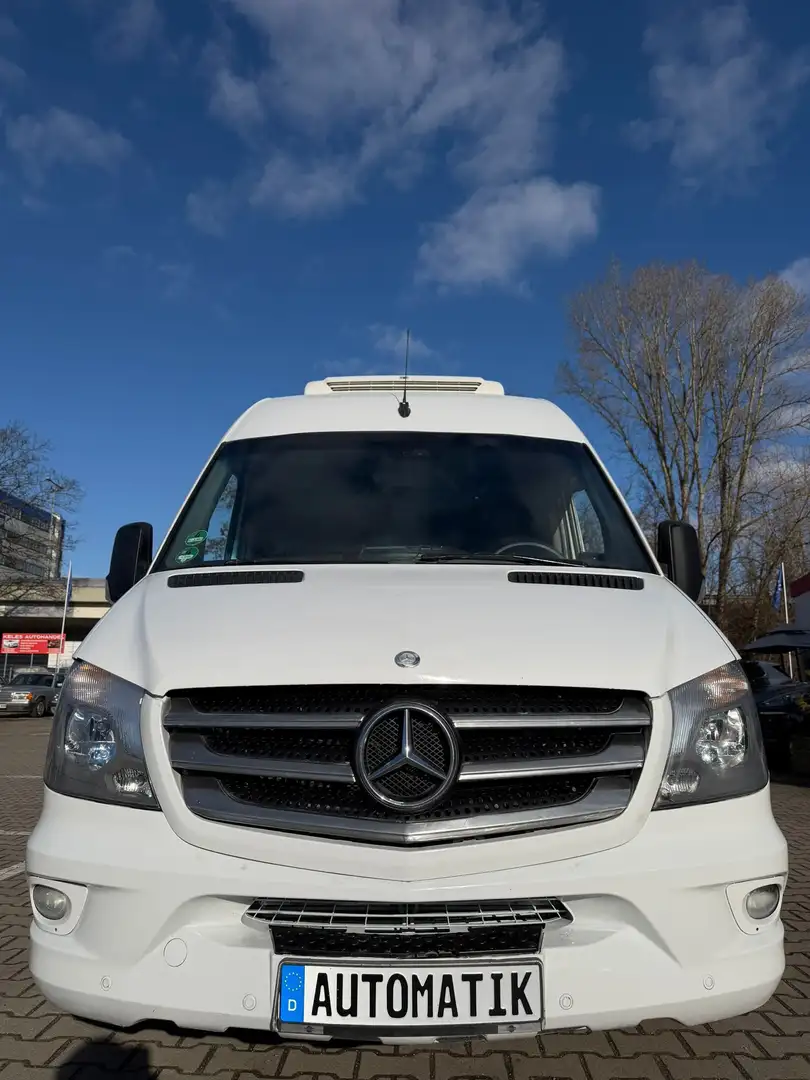 Mercedes-Benz 316 CDI Automatik Kühlfahrzeug TÜV-AU NEUE Weiß - 1