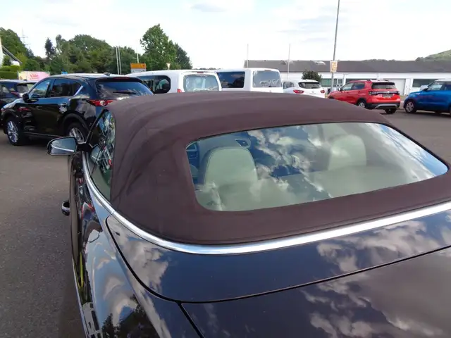 Audi A5 view 20