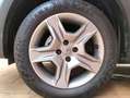 Dacia Sandero 0.9 TCE Stepway 90 Blanco - thumbnail 22