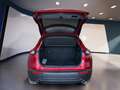 Mazda CX-30 2.0 m-hybrid Exclusive awd 122cv 6mt Rosso - thumbnail 7