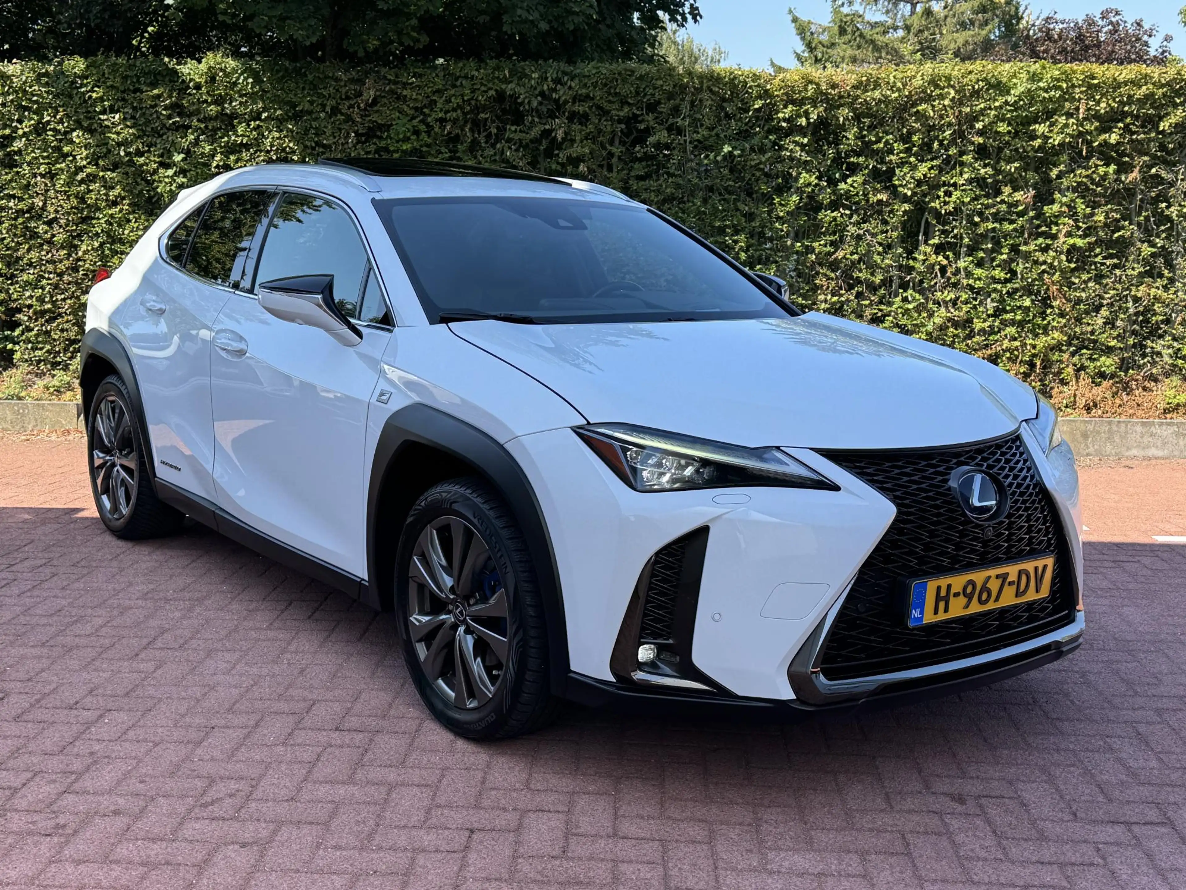 Lexus UX 250h AWD F-Sport Full Option Trekhaak HUD — photo 3