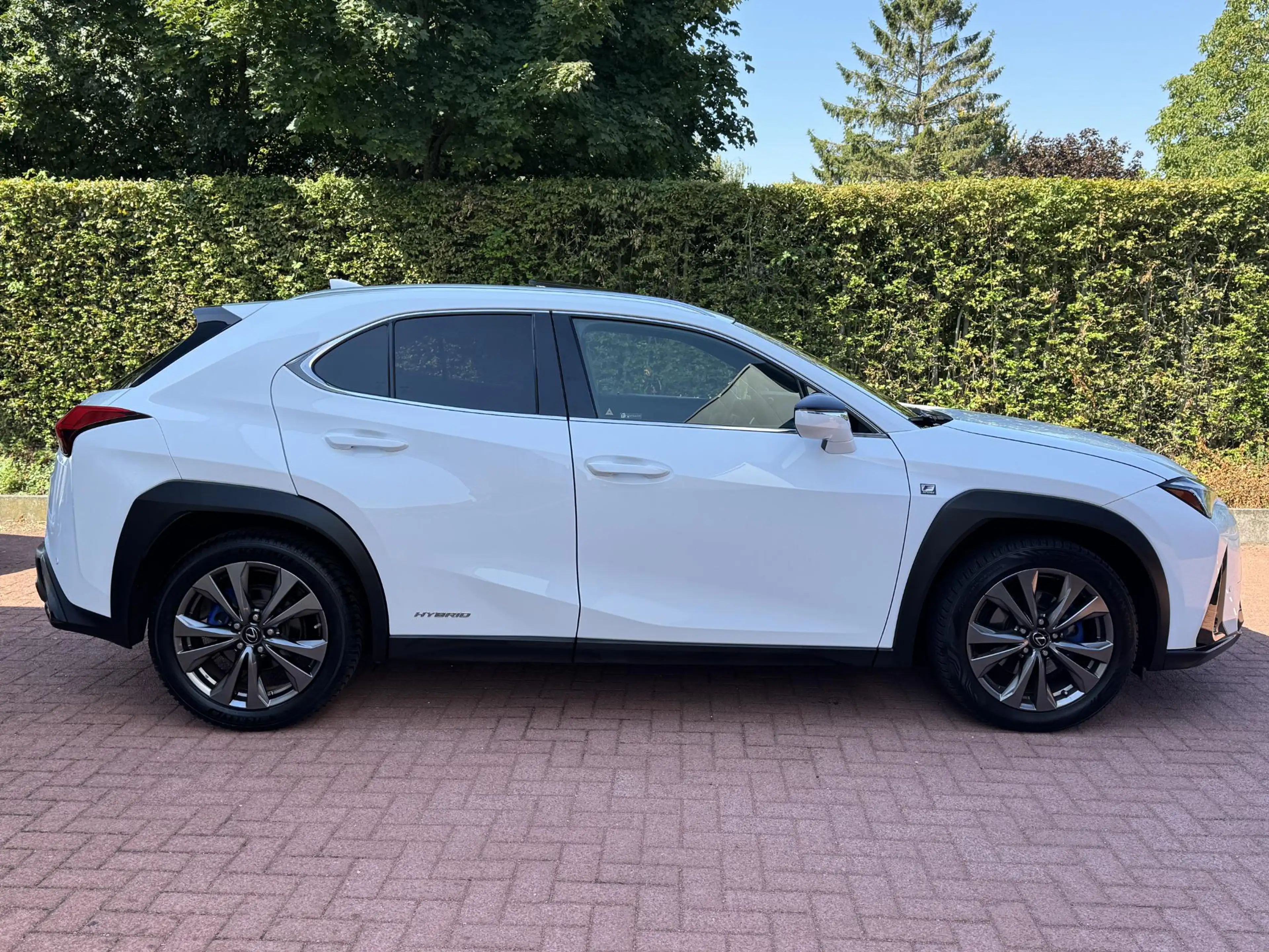 Lexus UX 250h AWD F-Sport Full Option Trekhaak HUD — photo 11
