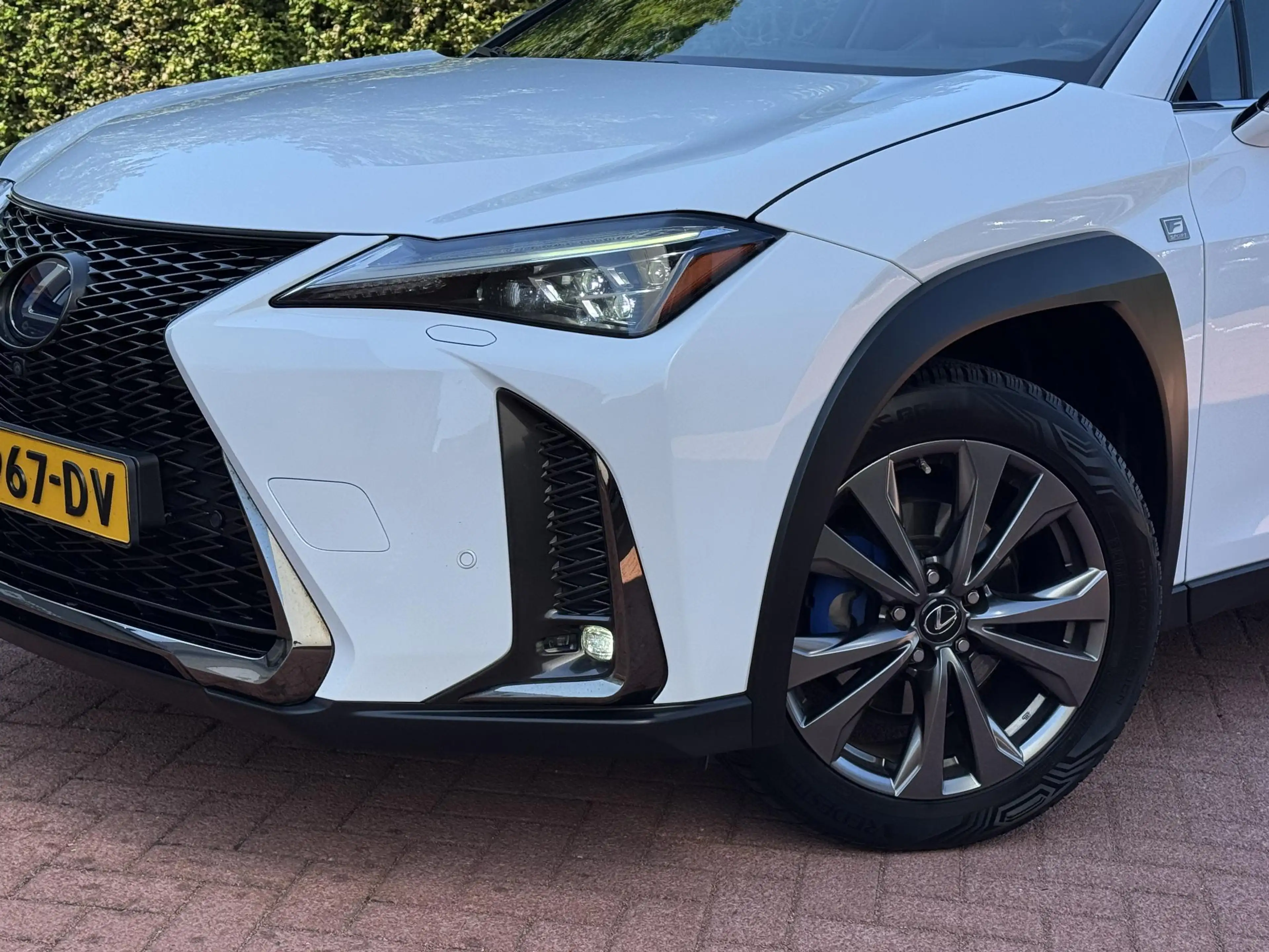 Lexus UX 250h AWD F-Sport Full Option Trekhaak HUD — photo 13