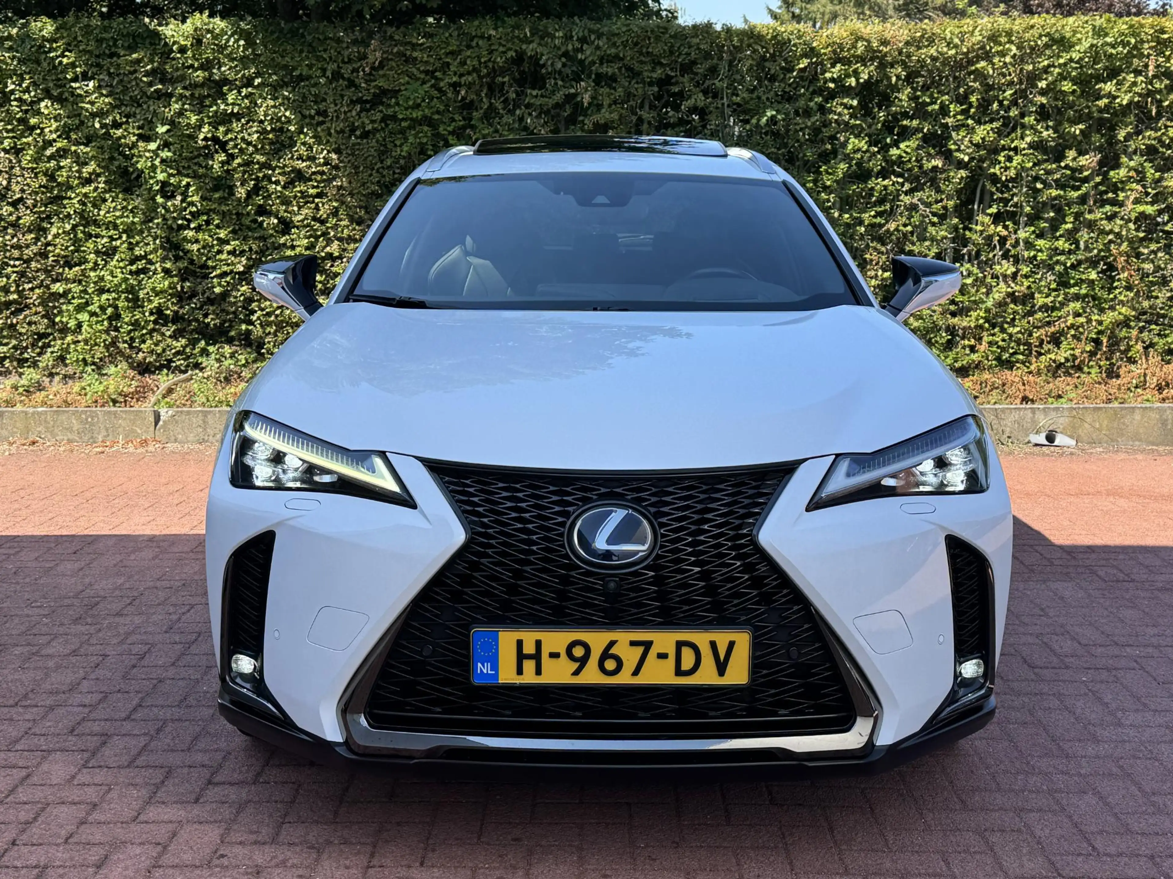 Lexus UX 250h AWD F-Sport Full Option Trekhaak HUD — photo 15