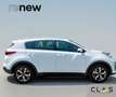 Kia Sportage Sportage 1.6 crdi Style 2wd 115cv Bianco - thumbnail 9