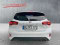 Ford Focus Lim. 1.0 l EcoBoost MHEV ST-Line LED ACC Weiß - thumbnail 5