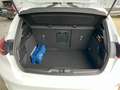Ford Focus Lim. 1.0 l EcoBoost MHEV ST-Line LED ACC Weiß - thumbnail 17