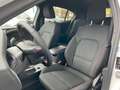 Ford Focus Lim. 1.0 l EcoBoost MHEV ST-Line LED ACC Weiß - thumbnail 15
