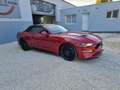 Ford Mustang Convertible V8 5.0  55 Rosso - thumbnail 11