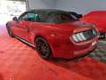 Ford Mustang Convertible V8 5.0  55 Rood - thumbnail 4