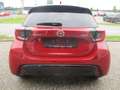 Mazda 2 Mazda2 Hybrid Homura Modell 2025 Rot - thumbnail 7
