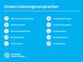 Volkswagen Golf VIII 1.5 TSI Basis FrontAssist LED DAB+ Grau - thumbnail 8