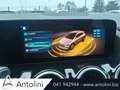 Mercedes-Benz GLA 180 Automatic Advanced Plus "SOLO 8.332 KM" Gris - thumbnail 23