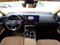 Lexus NX 450h+ NX 450h+ E-Four Business Aut. Business Schwarz - thumbnail 3