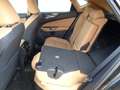 Lexus NX 450h+ NX 450h+ E-Four Business Aut. Business Schwarz - thumbnail 15