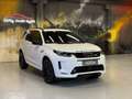 Land Rover Discovery Sport R-Dynamic SE AWD~PANO~HUD~LEDER Weiß - thumbnail 9