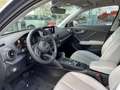 Audi Q2 2.0 TFSI quattro Design Pro Line Plus. 190Pk, trek Gris - thumbnail 12