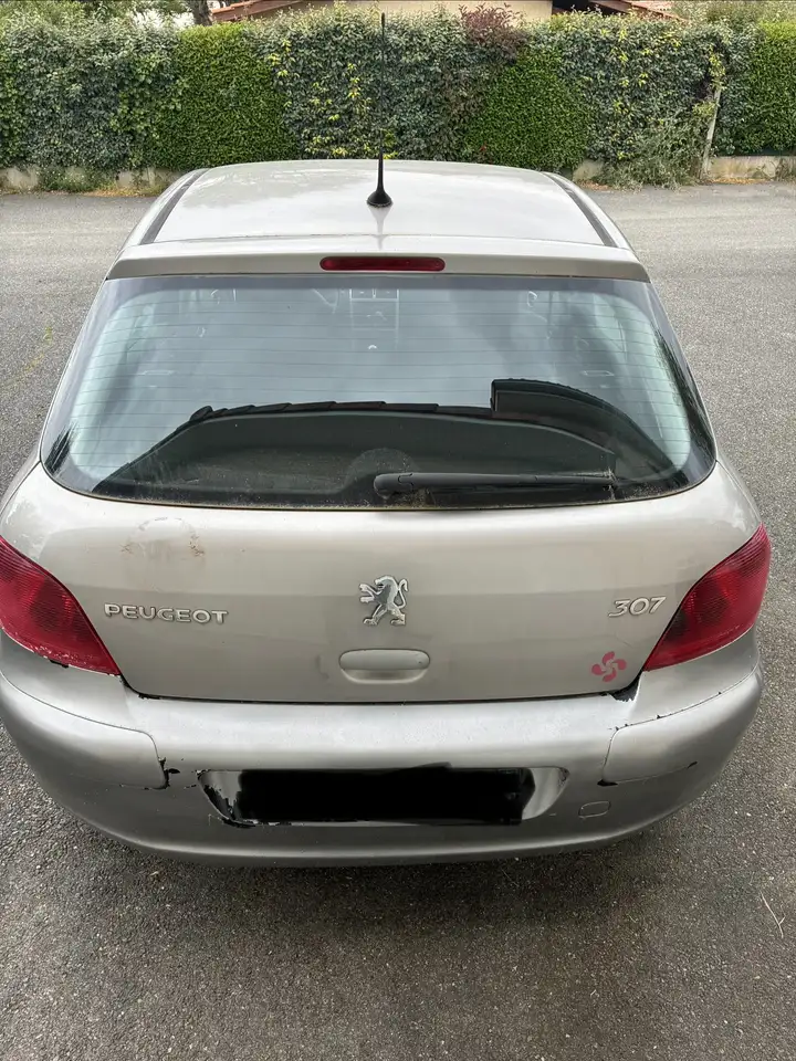 Peugeot 307 1.6i 16V XR PrÃ©sence