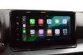 SEAT Arona 1.0 TSI S&S Xperience XS 115 Grün - thumbnail 17