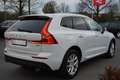 Volvo XC60 2.0 M-Hybrid LED Navi ACC Totwinkel Kamera White - thumbnail 5