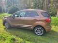 Ford EcoSport ECOSPORT 1.0 EcoBoost Aut. TITANIUM bež - thumbnail 5