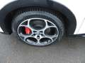 Alfa Romeo Tonale Veloce, Klima, Kamera, Navi, SHZ, PDC Weiß - thumbnail 7