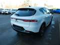 Alfa Romeo Tonale Veloce, Klima, Kamera, Navi, SHZ, PDC Weiß - thumbnail 5