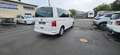 Volkswagen T6 Transporter T6 Bus Multivan Trendline Blanc - thumbnail 6