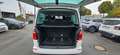 Volkswagen T6 Transporter T6 Bus Multivan Trendline Blanc - thumbnail 9