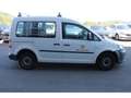 Volkswagen Caddy IV 2.0 TDI 5-Sitzer RFK Klima SHZ Bluetooth Blanc - thumbnail 2