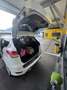 Ford Kuga 2,0 TDCi Titanium S 4x4 Weiß - thumbnail 17