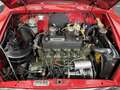 MINI Cooper Morris -MK I * 1965 * 1.0 *Monte-Carlo* LHD Rojo - thumbnail 5