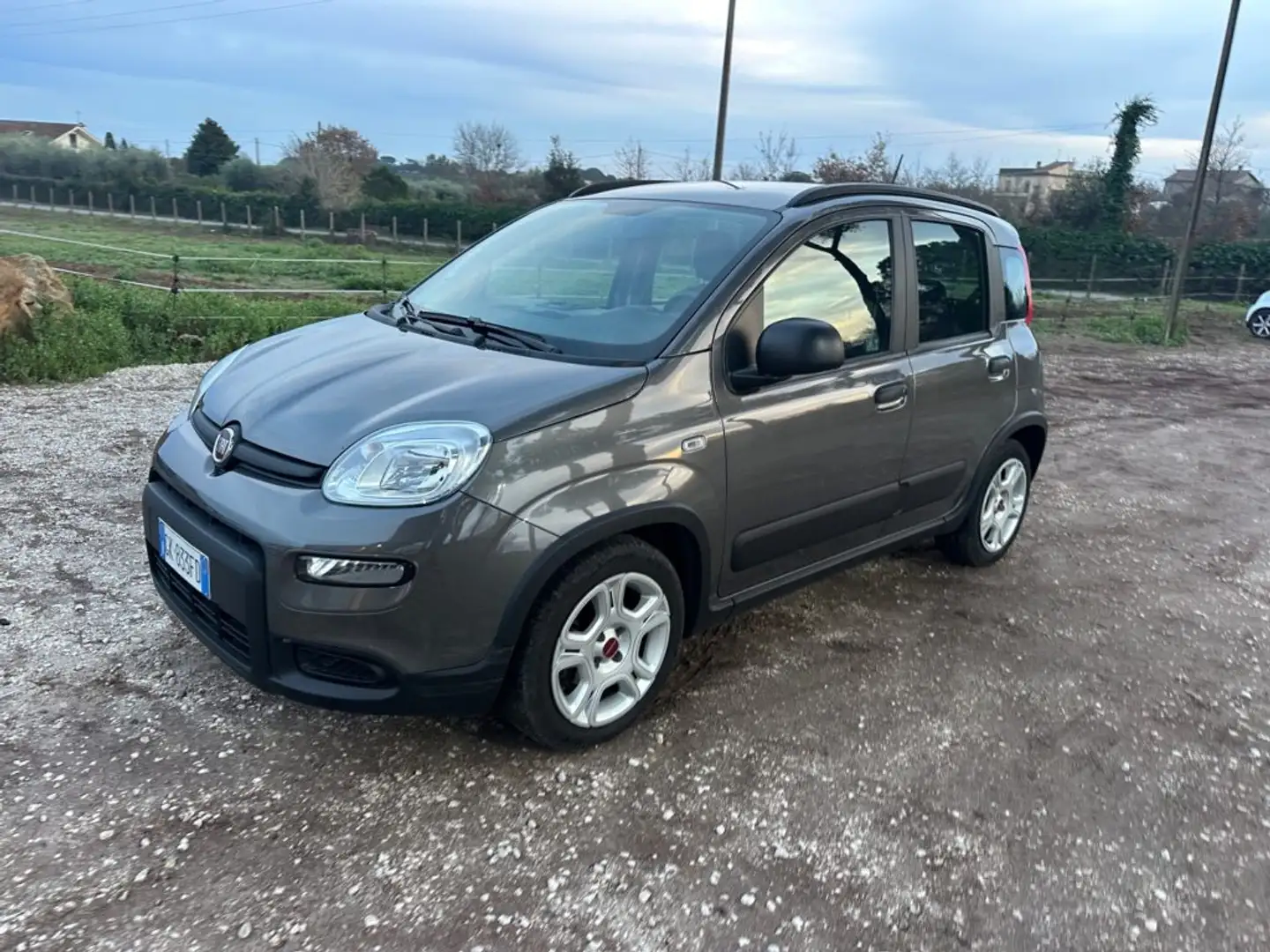 Fiat Panda 1.0 FireFly S&S Hybrid City Life Gris - 1